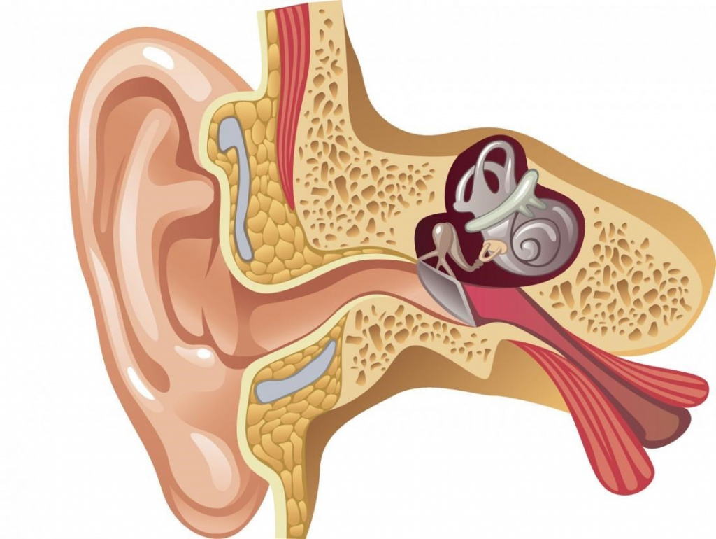Самые распространенные заболевания ушей
